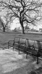 Park bench - 503680595