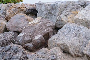 Photos of stones and beach rocks, where you can see their textures, lines, shapes, colors, humidity, crabs, the photos were taken on a cloudy day with a cold tone and white balance.