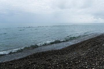beach in the morning