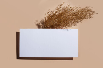 Modern summer stationery still life. Dry reeds and an empty white blank on a beige background with a hard shadow. Flat lay, top view.
