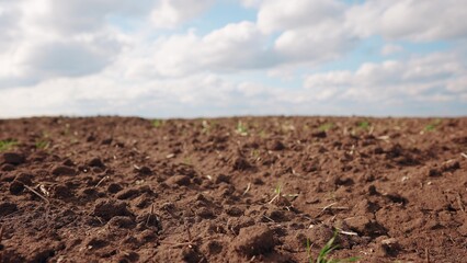 Agricultural landscape arable field. business agriculture concept. walk on brown black soil arable a land. preparation for sowing crops in agriculture landscape motion steadicam. crop farming field