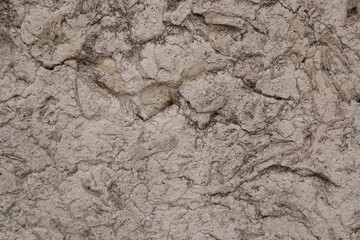 texture of stone wall