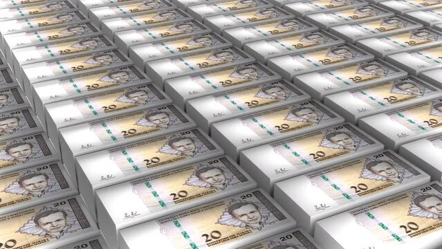 3D Animation of 20 Bosnia Marka Banknotes Money Stack Seamless Loop