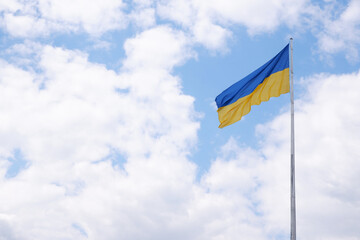 Flag of Ukraine on a high flagpole isolated against a blue sky and red tulips in the foreground. Symbols of Ukraine. Sun rays. The concept of freedom of an independent free country.