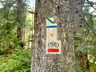 Fototapeta Szlak, Na szlaku, znak, drogowskaz, las, drzewo, rowery, ścieżka rowerowa obraz