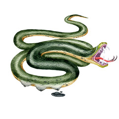 Watercolor fantastic creature, monster, snake