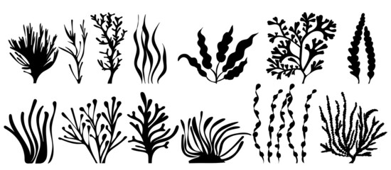 set of algae silhouette, on white background, isolated, vector © zolotons