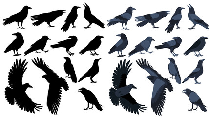 crow silhouette set, on white background, isolated, vector