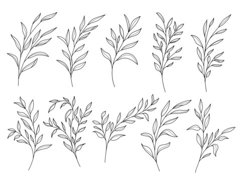 Line art leaf illustration vector on white background