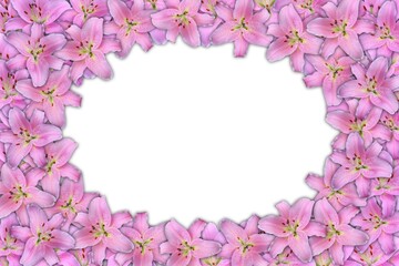 Fototapeta na wymiar lily frame