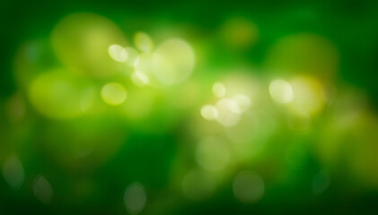 A spring background of fresh lush green foliage with blurred bokeh.