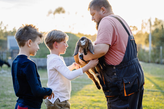 Agritourism Concept. Day At The Farm With Animals. Children Taking Small Goat From Man From Male Farmer At Sunset.