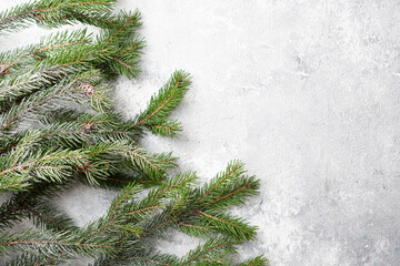 Christmas holiday background with green branch