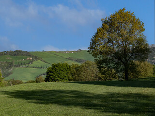 paesaggio toscano