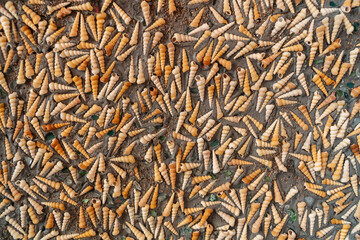 Texture, walls decorated with shells