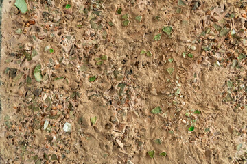 Texture, walls decorated with shells