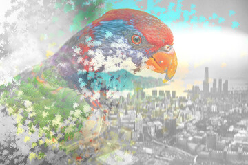 Double exposure effect of parrot with city, concept image of ecosystems protection. 