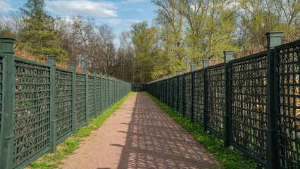 Fototapeta na wymiar fence in the park