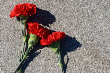 Three carnation flowers. Several red flowers near the monument. Marble granite slab of the monument. Red carnations on a stone background. Memorial Day. Victims.