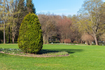 Lawn with green grass and a flower bed in an English garden