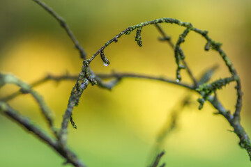 gotas de agua