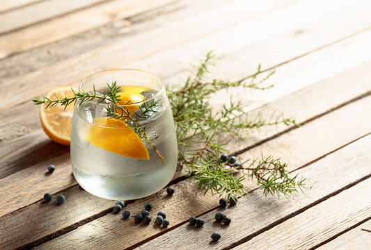 Gin tonic cocktail with lemon, juniper branch, and ice.