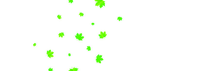 green leaf on white background	