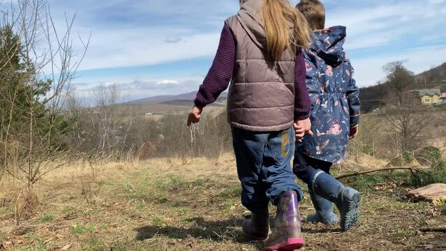 Two lovely kids holding hands, walking to observation point at hill, enjoying landscape view. Charming preschool kids admiring nature, strolling along forest area, spending time together 