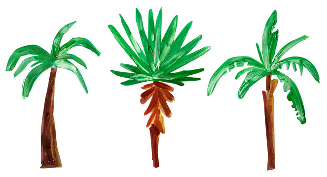 Texture palm and banana tree gouache summer set of elements. Template for decorating designs and illustrations.	
