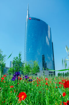 View of the Unicredit Towe seen from the Biblioteca degli Alberi (BAM), park located between Piazza Gae Aulenti and the Isola district. Flowering fields. Milan. Italy