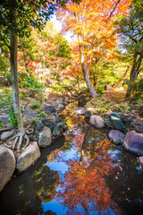 Obraz na płótnie Canvas 東京都　旧古河庭園の紅葉