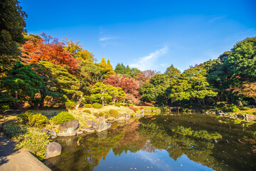 東京都　旧古河庭園の紅葉