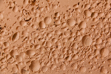 Closeup texture of a seashell stone.