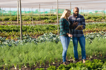African american man discussing over digital tablet with caucasian female coworker in greenhouse