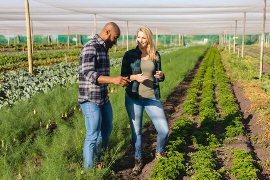 African american male agronomist discussing with caucasian female coworker in greenhouse