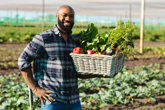 Portrait of smiling african american bald mid adult man carrying vegetables in greenhouse in summer
