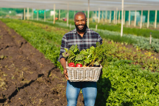 Portrait of smiling mid adult african american bald man carrying vegetables at greenhouse in summer