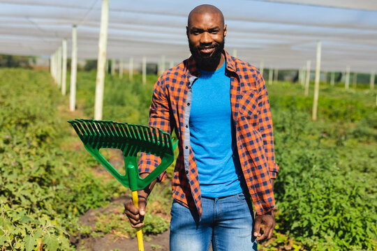 Portrait of smiling african american mid adult bald farmer with pitchfork standing in greenhouse