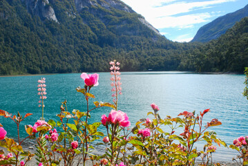 Panoramic view of Lake Nahuel Huapi in Argentina near Puerto Blest. Selective Focusing