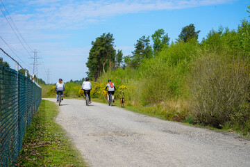 Obraz premium People on push bikes cycling in the spring time down a woodland path