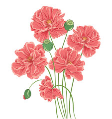 Hand drawn floral background with blooming red poppies on a white background