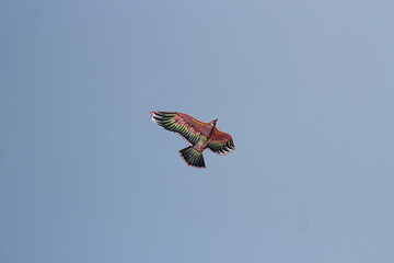 Kite flying in the sky on sea beach