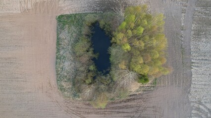 Nature, silent, landscape, water, tree, forest