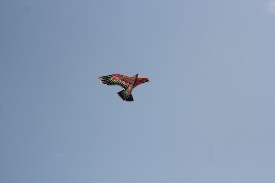 Kite flying in the sky on sea beach