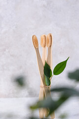 Bamboo toothbrush, zero waste care products