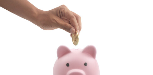 Bitcoin with financial investment concept and Piggy bank