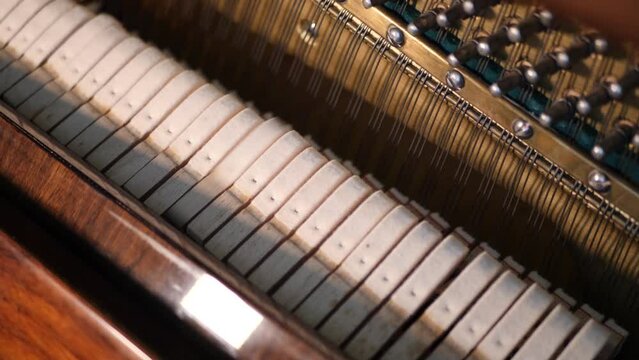 Internal construction of inside wooden piano                        