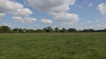field and blue sky