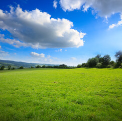 Spring field and blue sky with big clouds and sunlight.