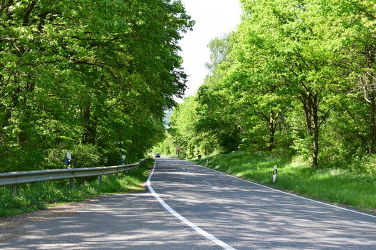 Nebenstrasse durch den Frühlingswald